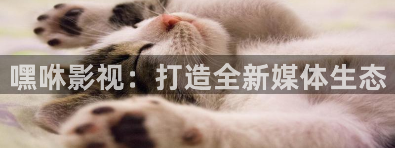 桃子影院电视剧